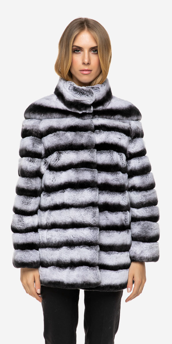 REX CHINCHILLA